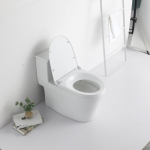 Bồn Cầu 1 Khối Kiểu Lùn Trắng Sứ FORLER