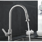 Vòi Rửa Chén Bát Nóng Lạnh Inox Mờ (VRC49) Forler