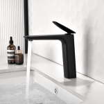 Vòi Lavabo Lạnh Đồng Sơn Tĩnh Điện Đen (FL-VLVB37) Forler