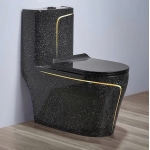 Bồn Cầu 1 Khối Đen Kim Sa Viền Vàng Cao Cấp Forler