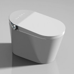 Bàn Cầu Thông Minh Mã 11 FORLER