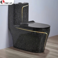 Bồn Cầu 1 Khối Đen Kim Sa Viền Vàng Cao Cấp Forler