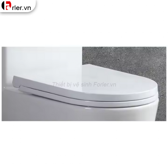 Bồn Cầu Một Khối BC22 FORLER