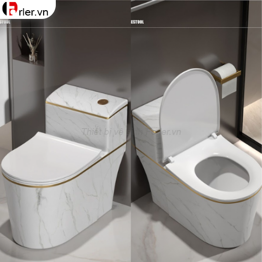 Bồn Cầu Một Khối Vân Đá Viền Vàng FORLER