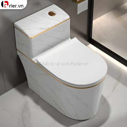 Bồn Cầu Một Khối Vân Đá Viền Vàng FORLER