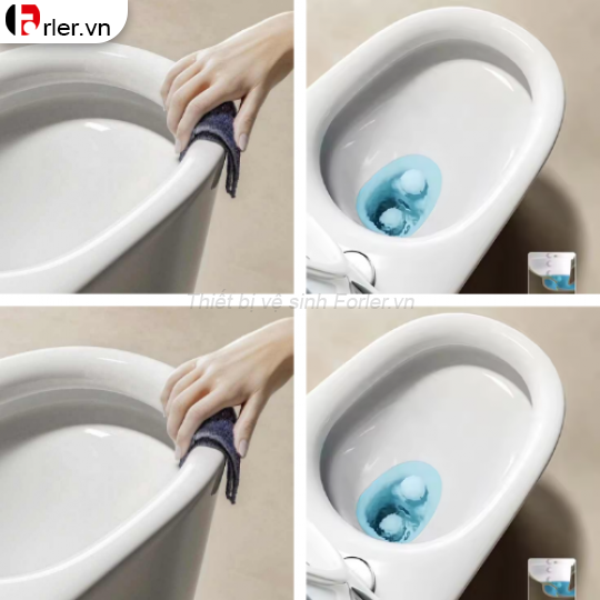 Bồn Cầu Một Khối Trắng Sứ FORLER