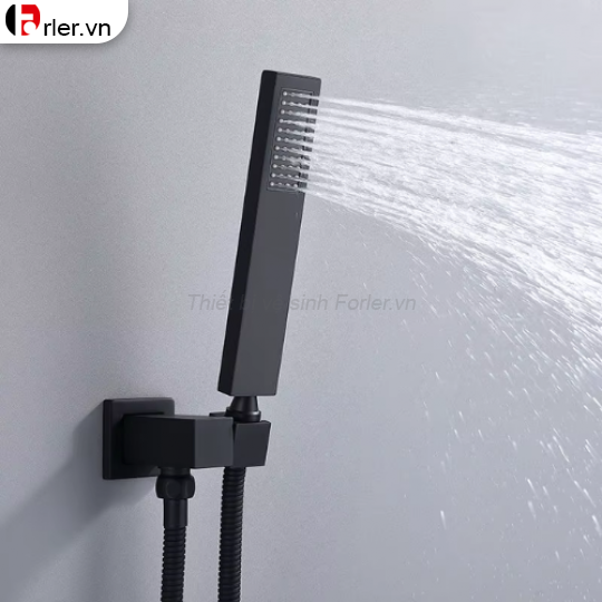 Sen Tắm Âm Tường Đồng Thau Sơn Tĩnh Điện Đen FORLER