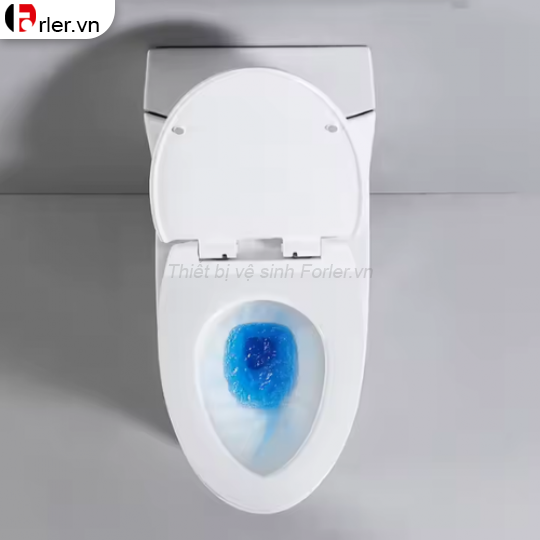 Bồn Cầu Một Khối BC21 FORLER