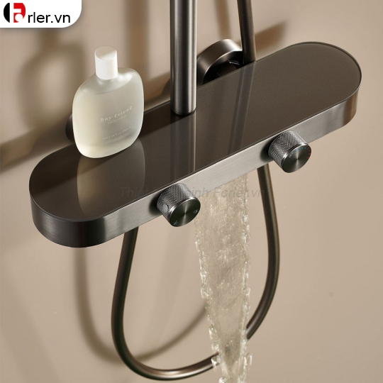 Sen Cây Tắm Nóng Lạnh Nano Xám Cao Cấp FL-ST30 Forler