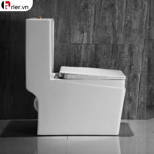 Bồn Cầu Một Khối Dáng Vuông Cao Cấp 