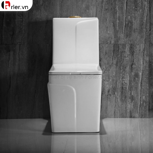 Bồn Cầu Một Khối Dáng Vuông Cao Cấp 