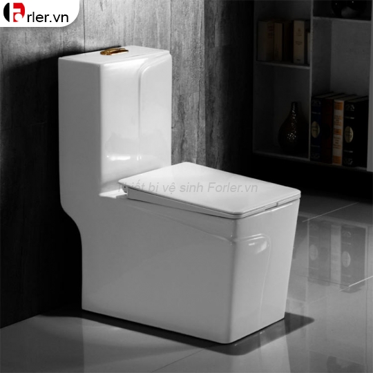 Bồn Cầu Một Khối Dáng Vuông Cao Cấp 