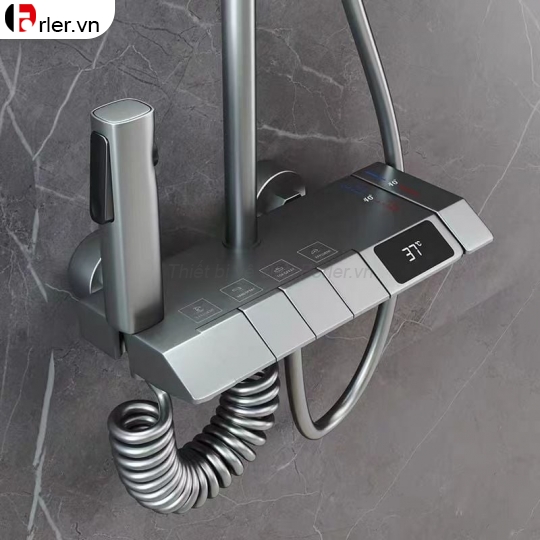 Sen Cây Tắm Đứng Đồng Thau Sơn Tĩnh Điện Xám Forler 