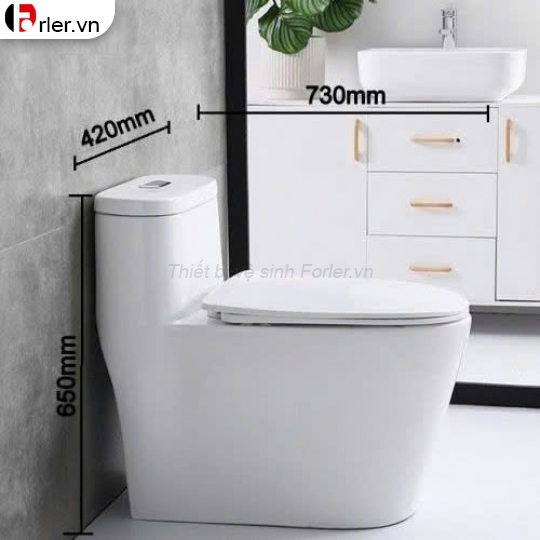 Bồn Cầu Cao Cấp Trắng Lùn FORLER