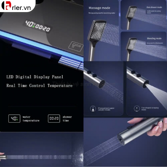Sen Cây Phím Đàn có Led Xám Titan FORLER
