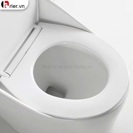 Bồn Cầu Một Khối Kiểu Dáng Tròn ( Nắp Nhựa UF ) 