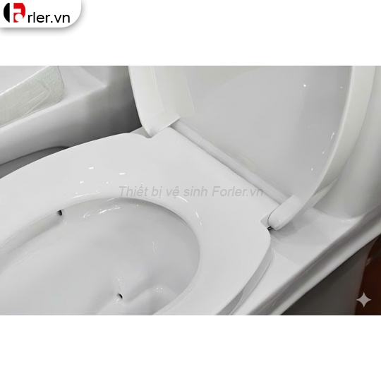 Bồn Cầu Một Khối FL-BCMK32