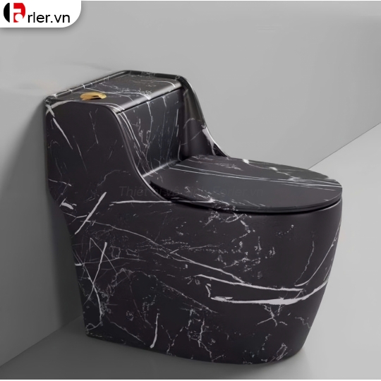 Bồn Cầu Một Khối Vân Đá Đen Forler